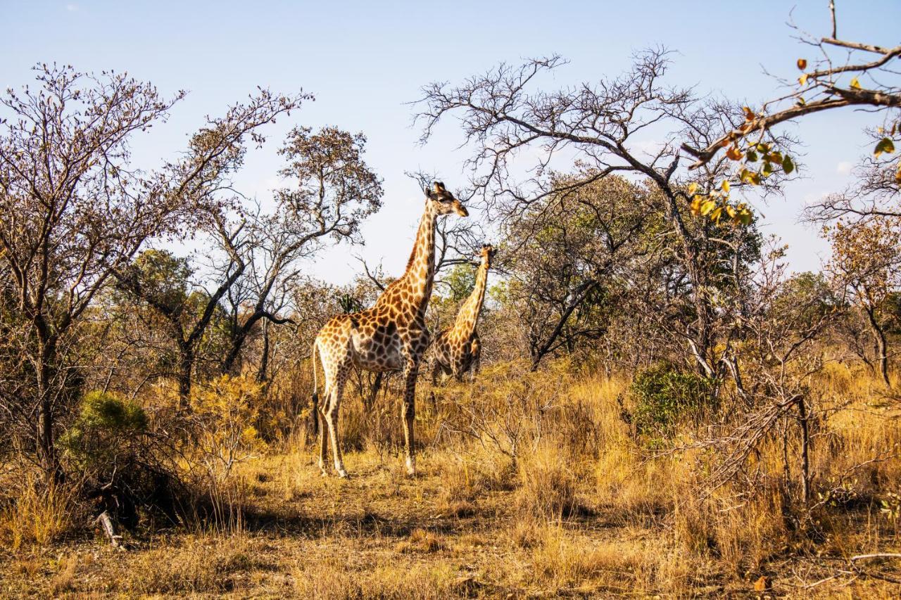 Fumani Game Lodge Modimolle Exterior foto